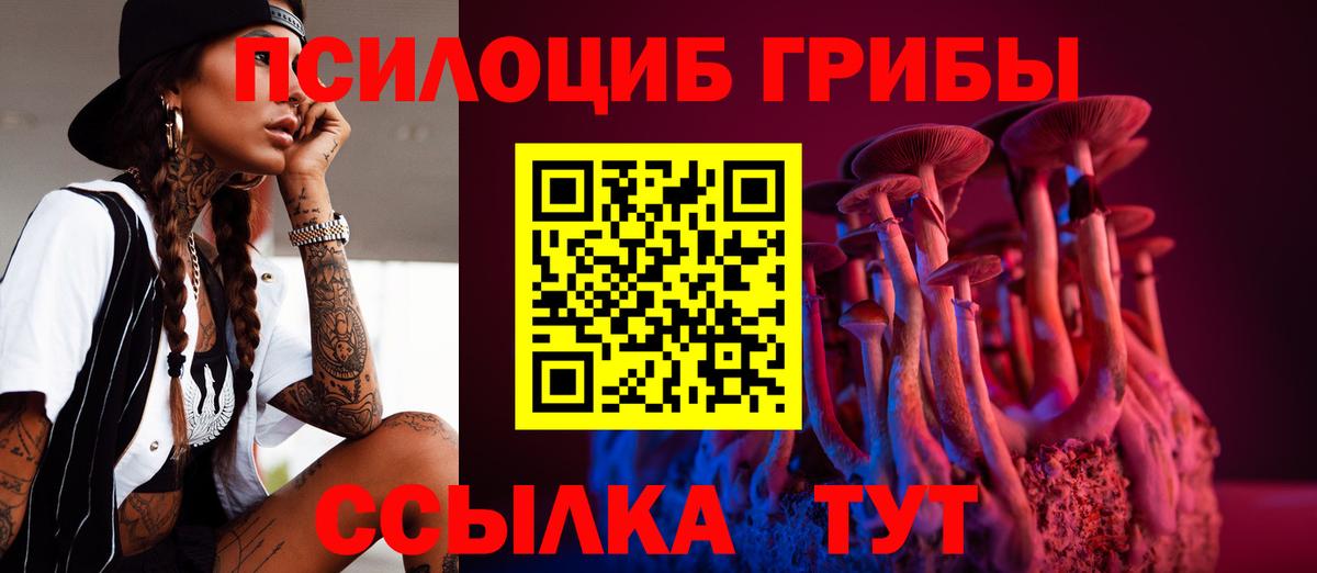 что такое наркотик  Псилоцибиновые грибы MAGIC MUSHROOMS  Вход с VPN  Сочи 